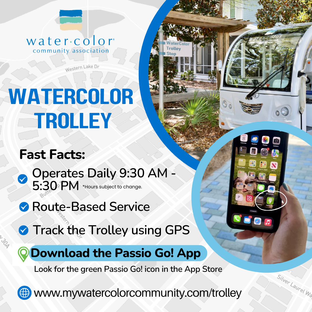 Flyer for the WaterColor Trolley 