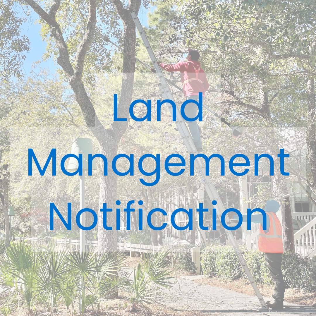 Photo of tree trimmers with text overlay about Land Management