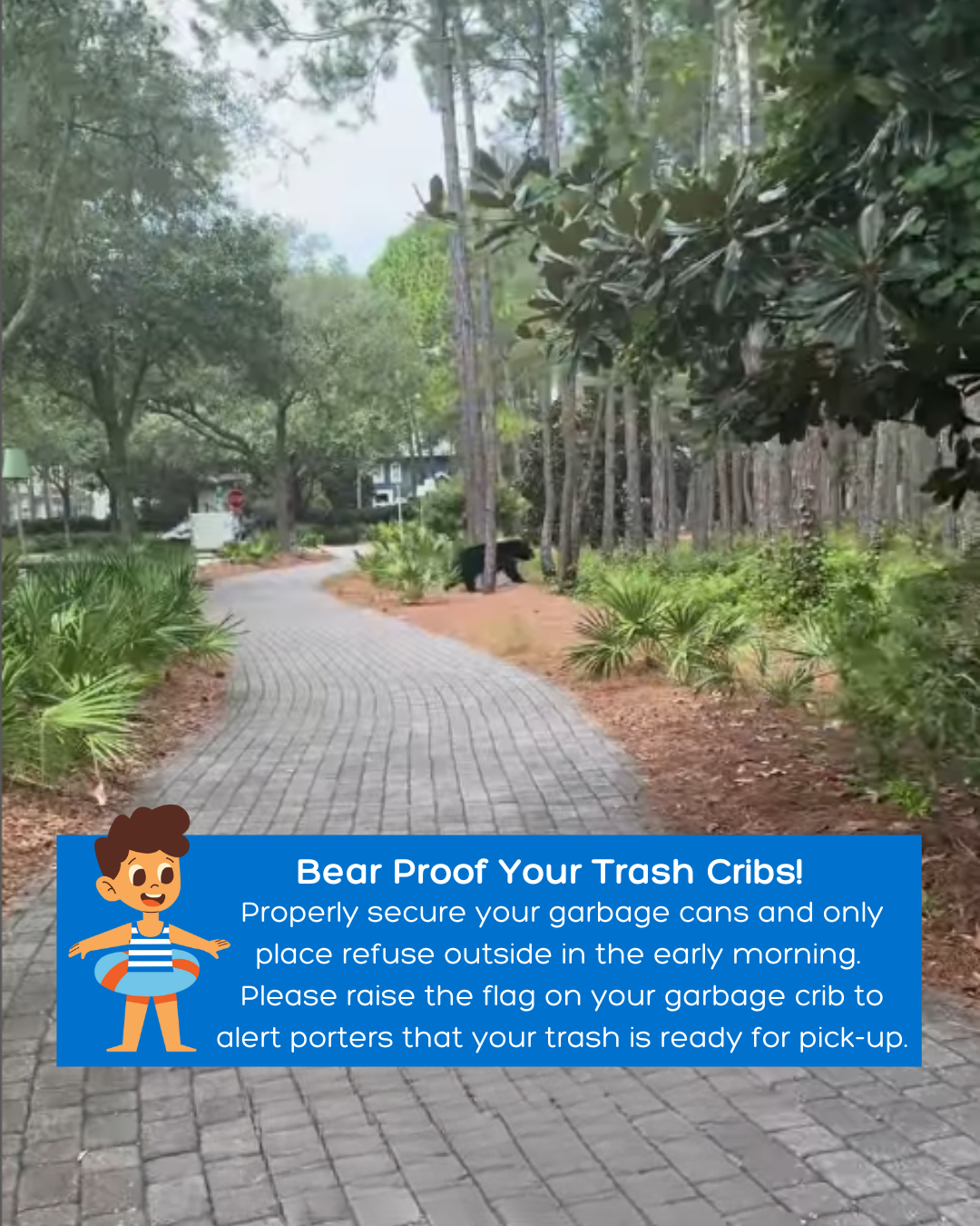 Bear walking across path into forest in WaterColor
